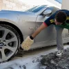 Bear Claw Wash Mitt & Pad