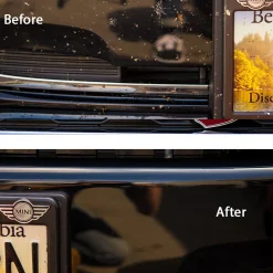 Bug & Tar Remover Car Wash
