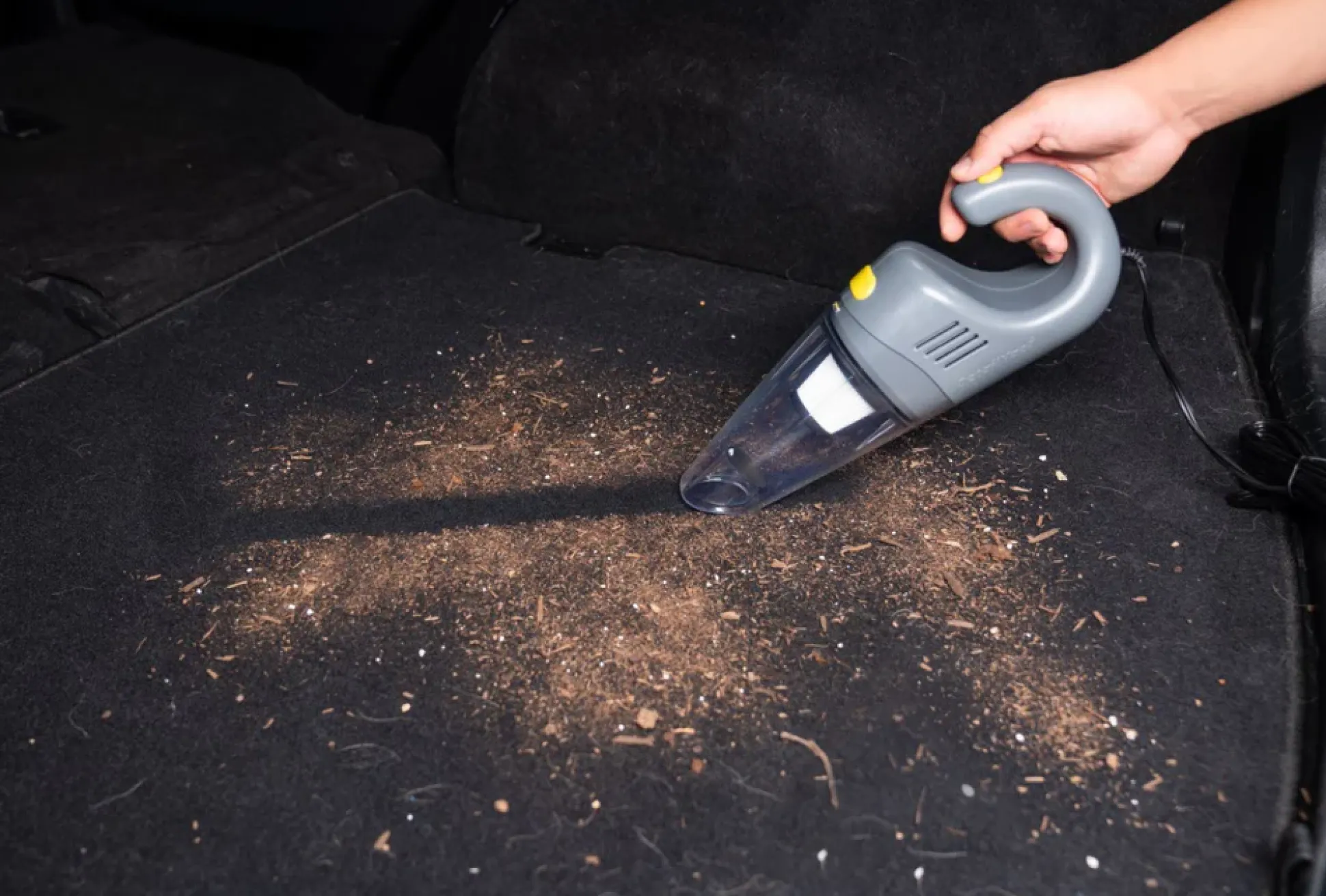 Furry Friend Interior Cleaning Kit