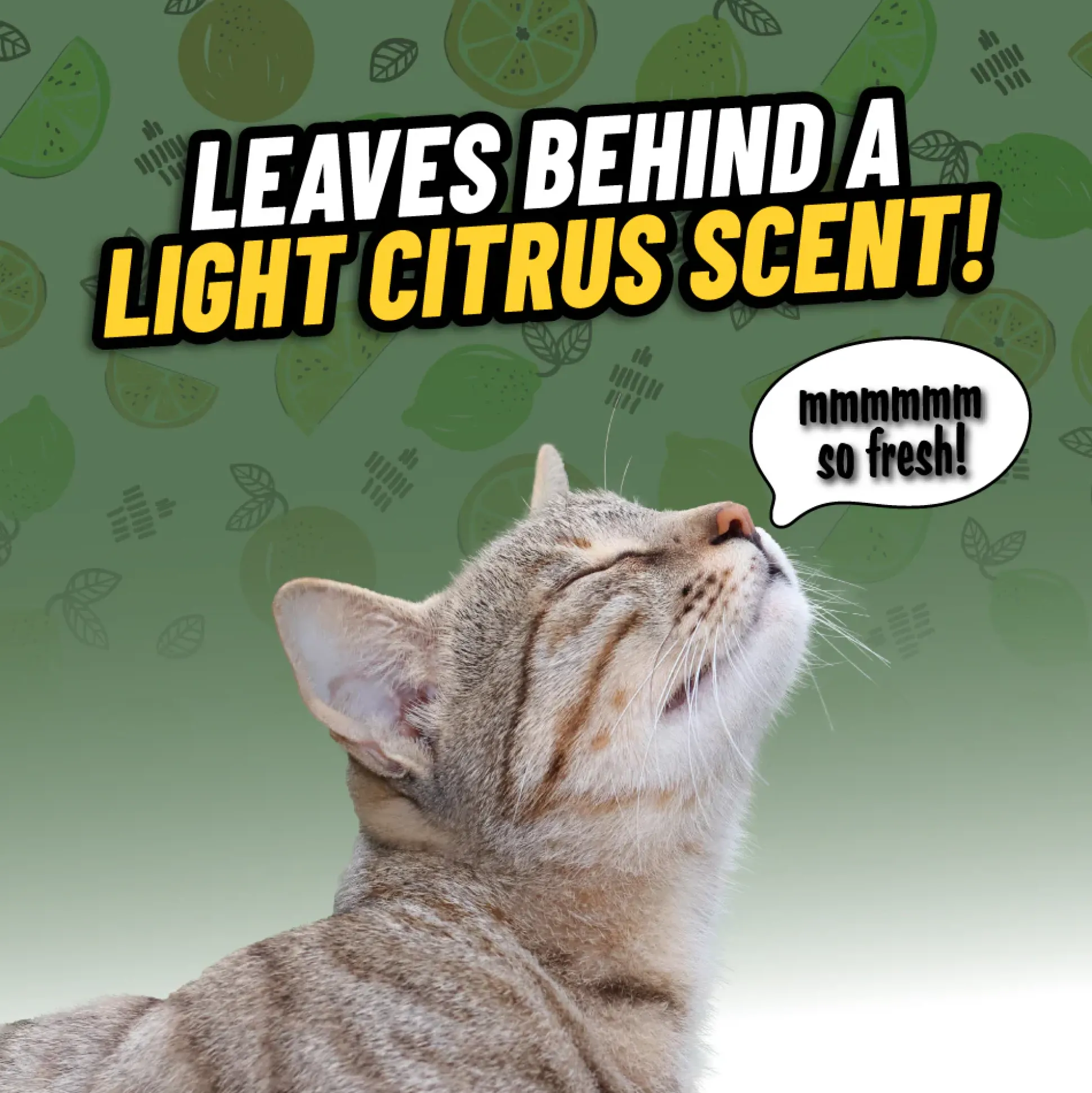 Ghosted Pet Odor Eliminator