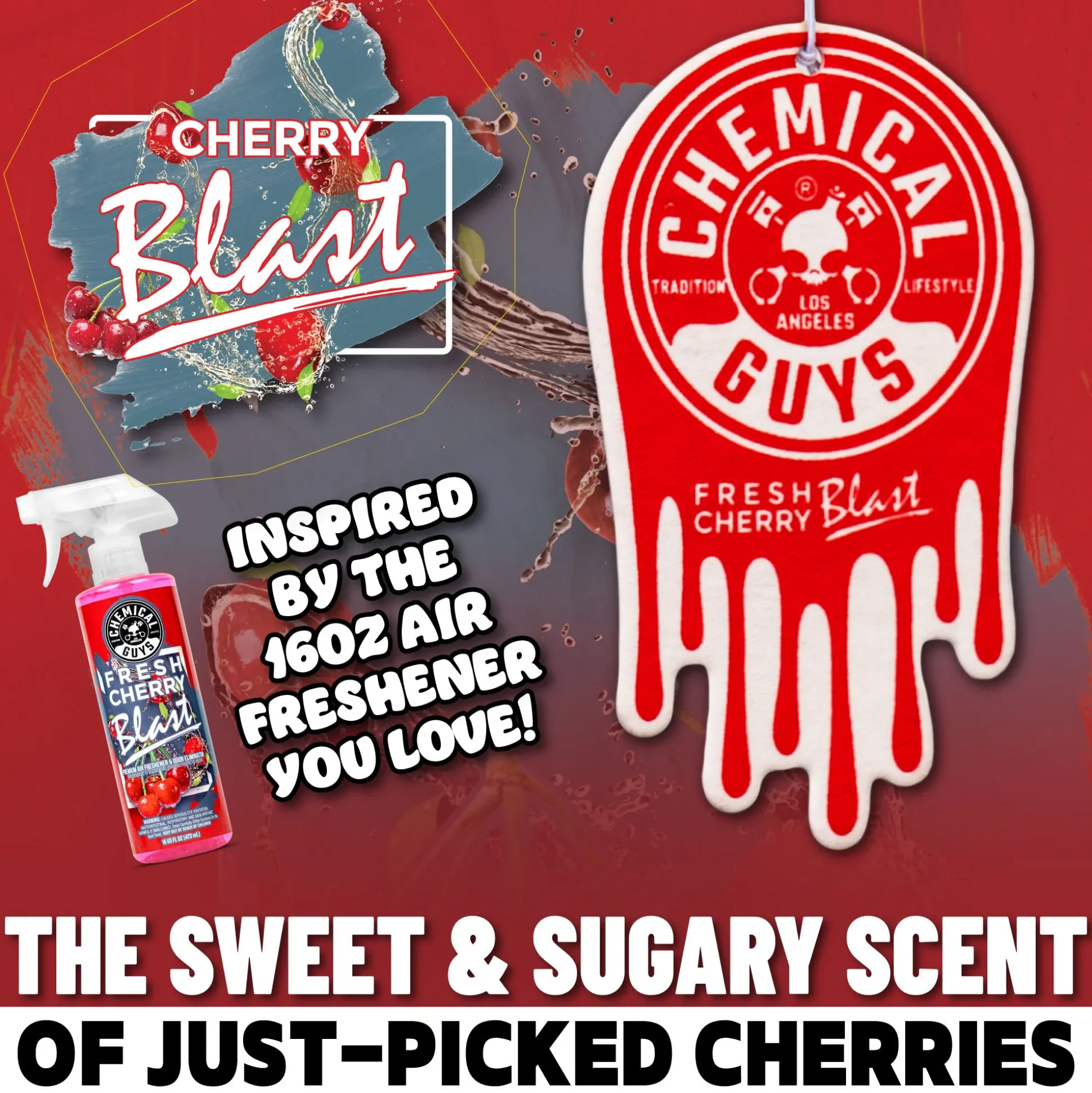 Hanging Air Freshener Assorted 3-Pack