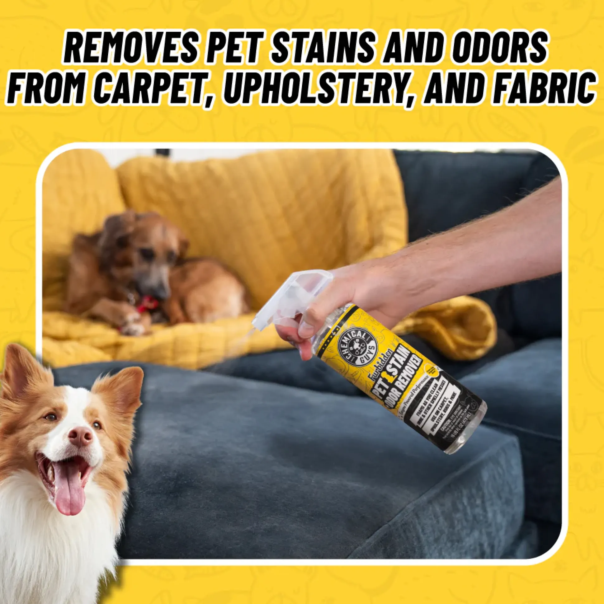 Interior Pet Mess Kit