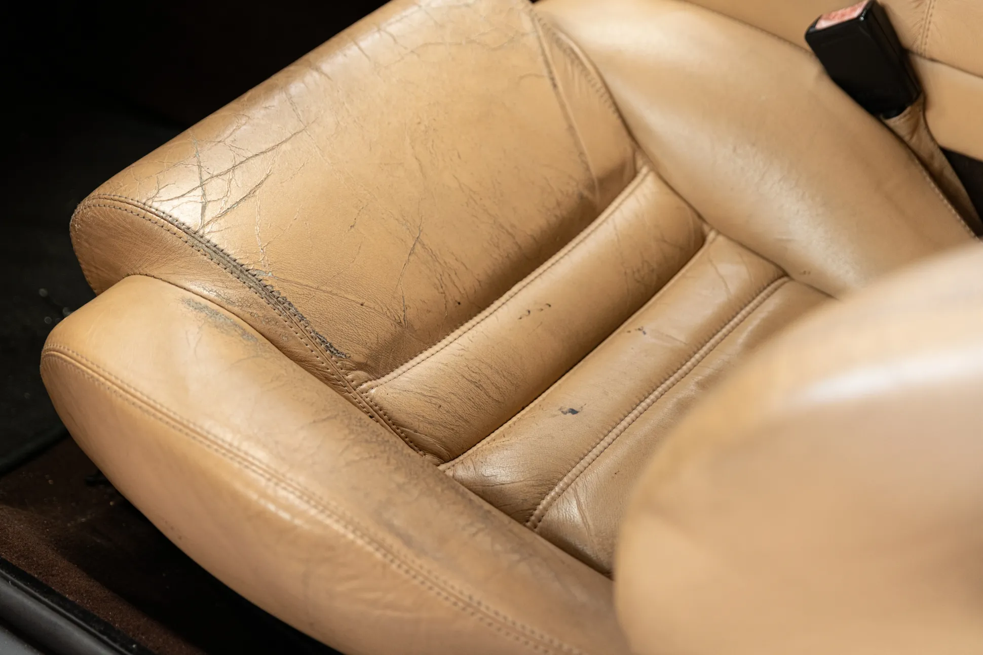 Leather Conditioner