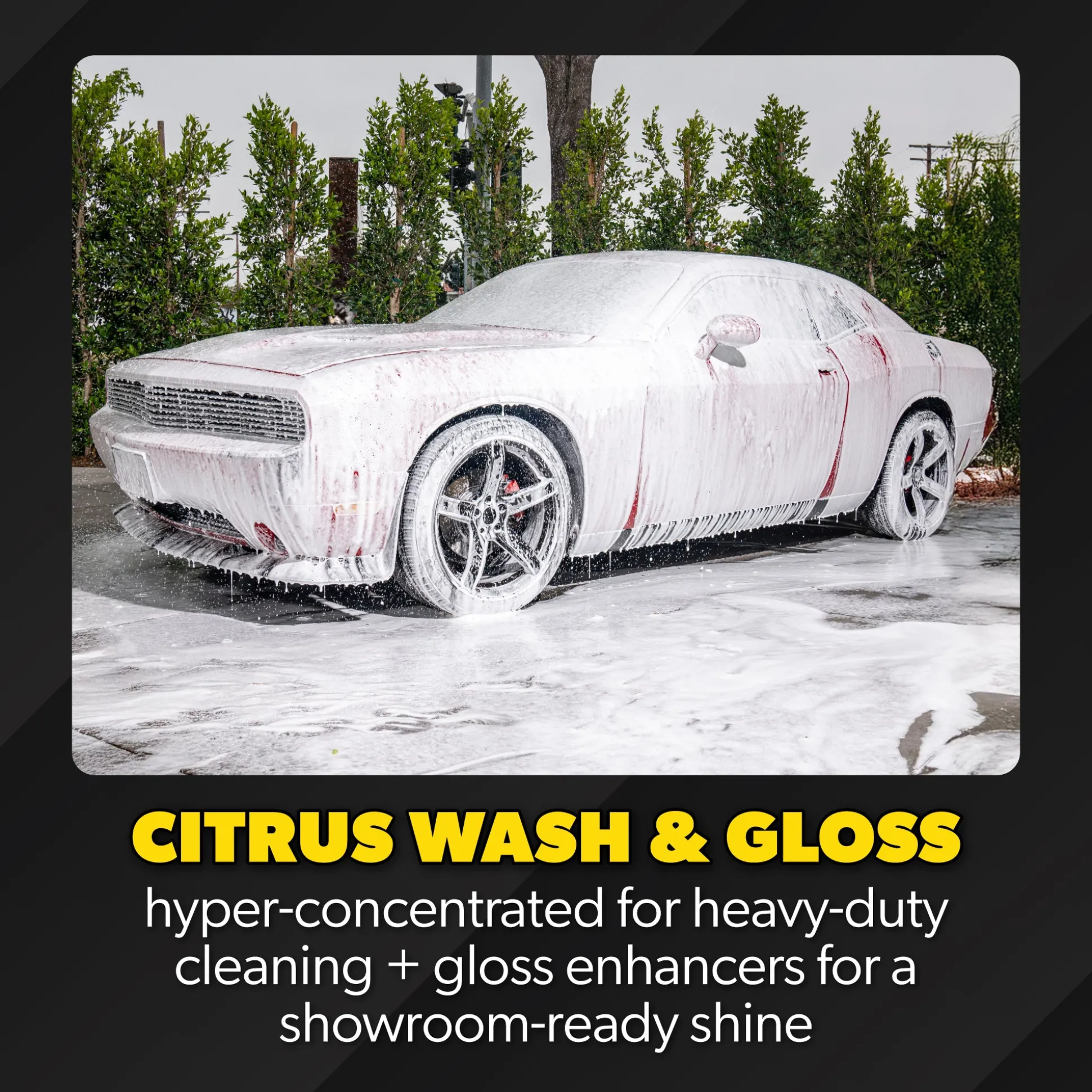 ProFlow Clean & Shine Bundle